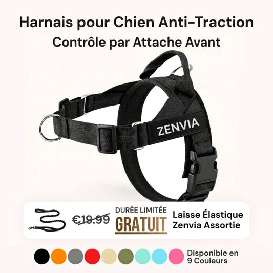Harnais Anti Traction Pour Chien