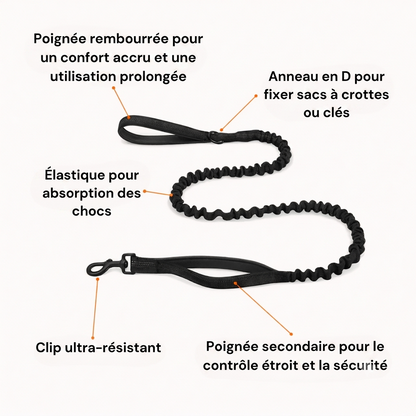 Laisse Élastique pour Chien Zenvia